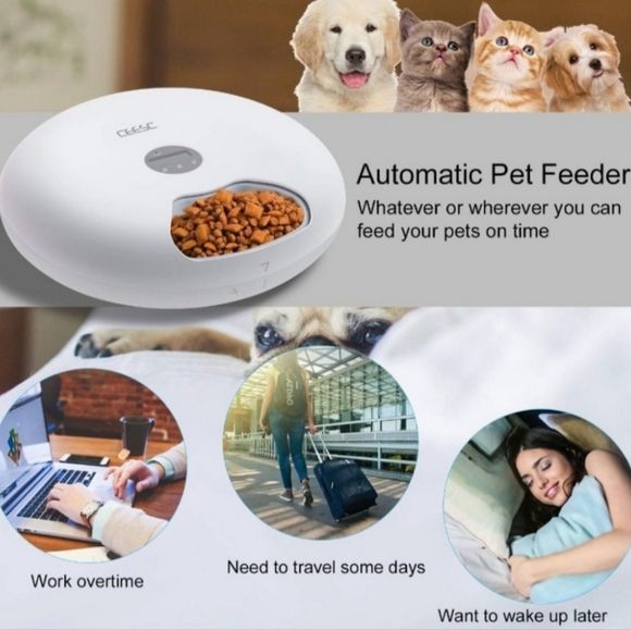 Automatic Pet Feeder